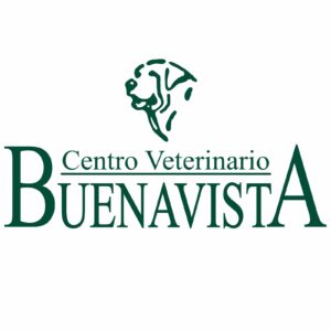 buena vista